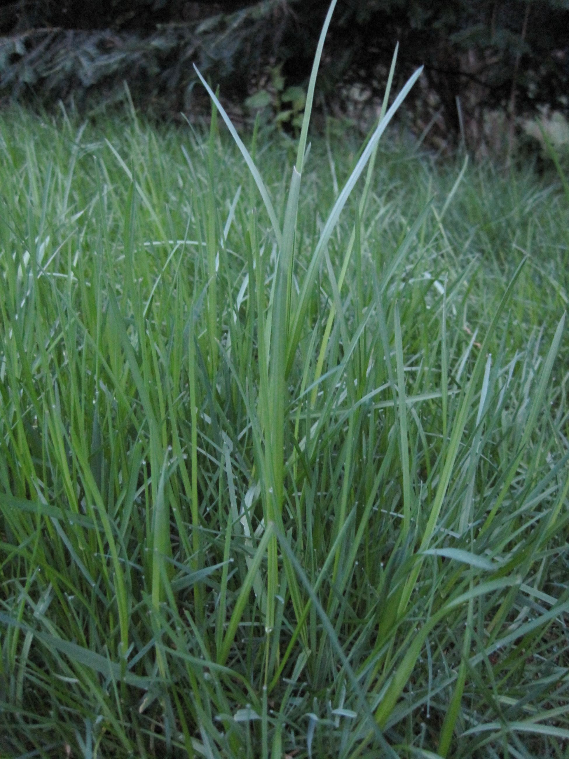 Sidebar pg 8 Sidebar pg 8