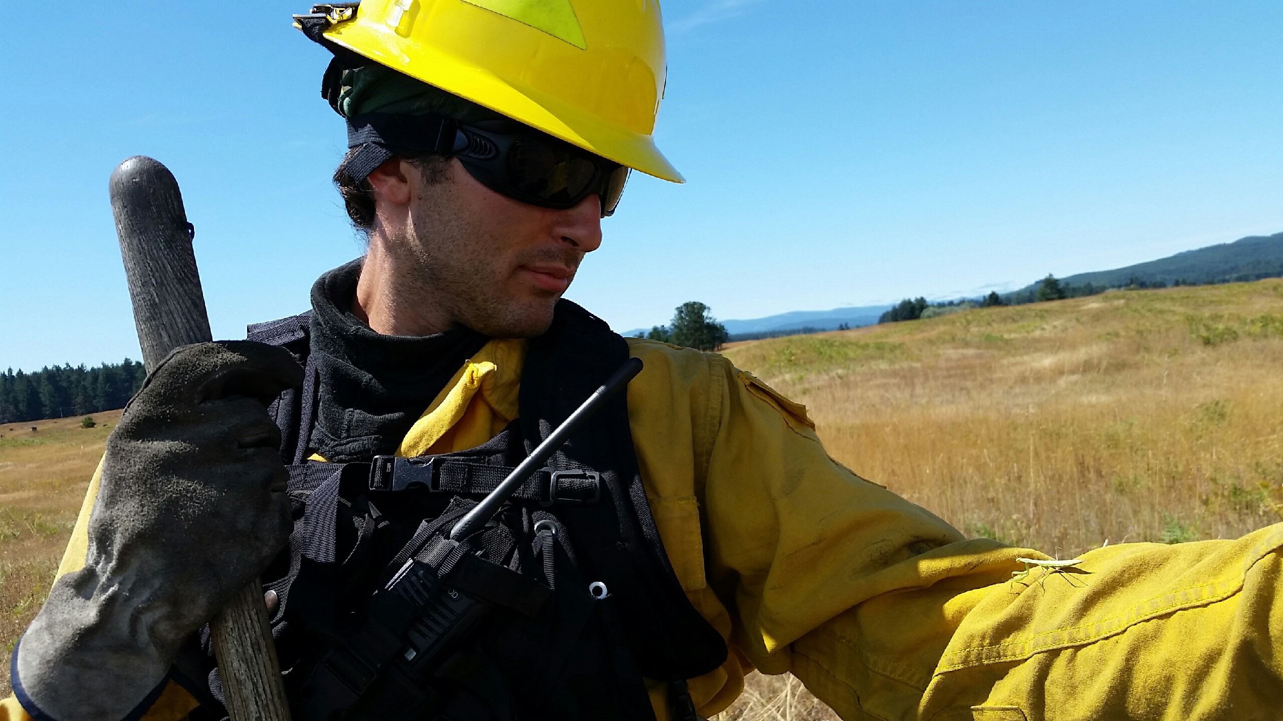 Sam Photo 2 Sam Photo 2