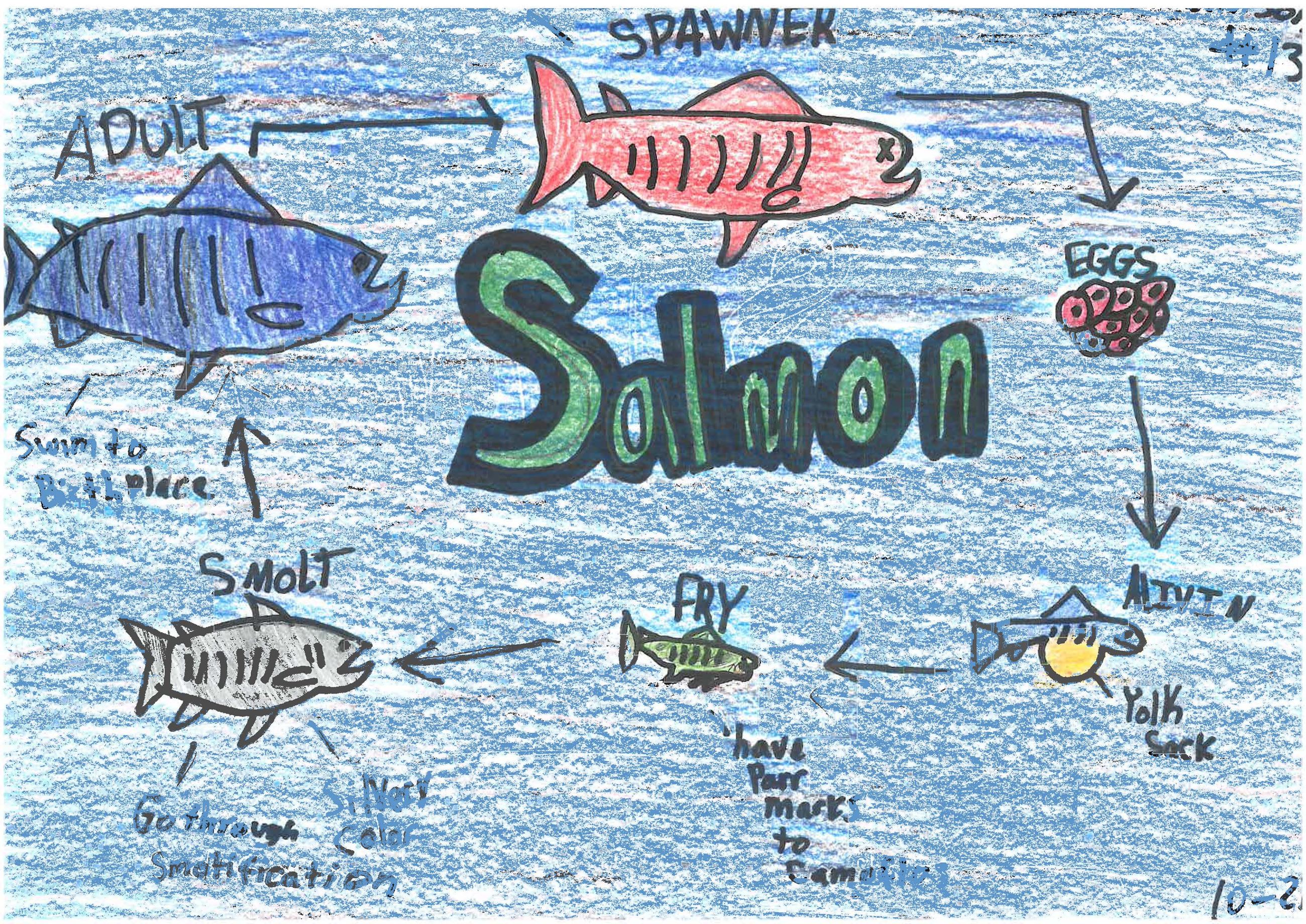 Blue Drawing Blue Drawing