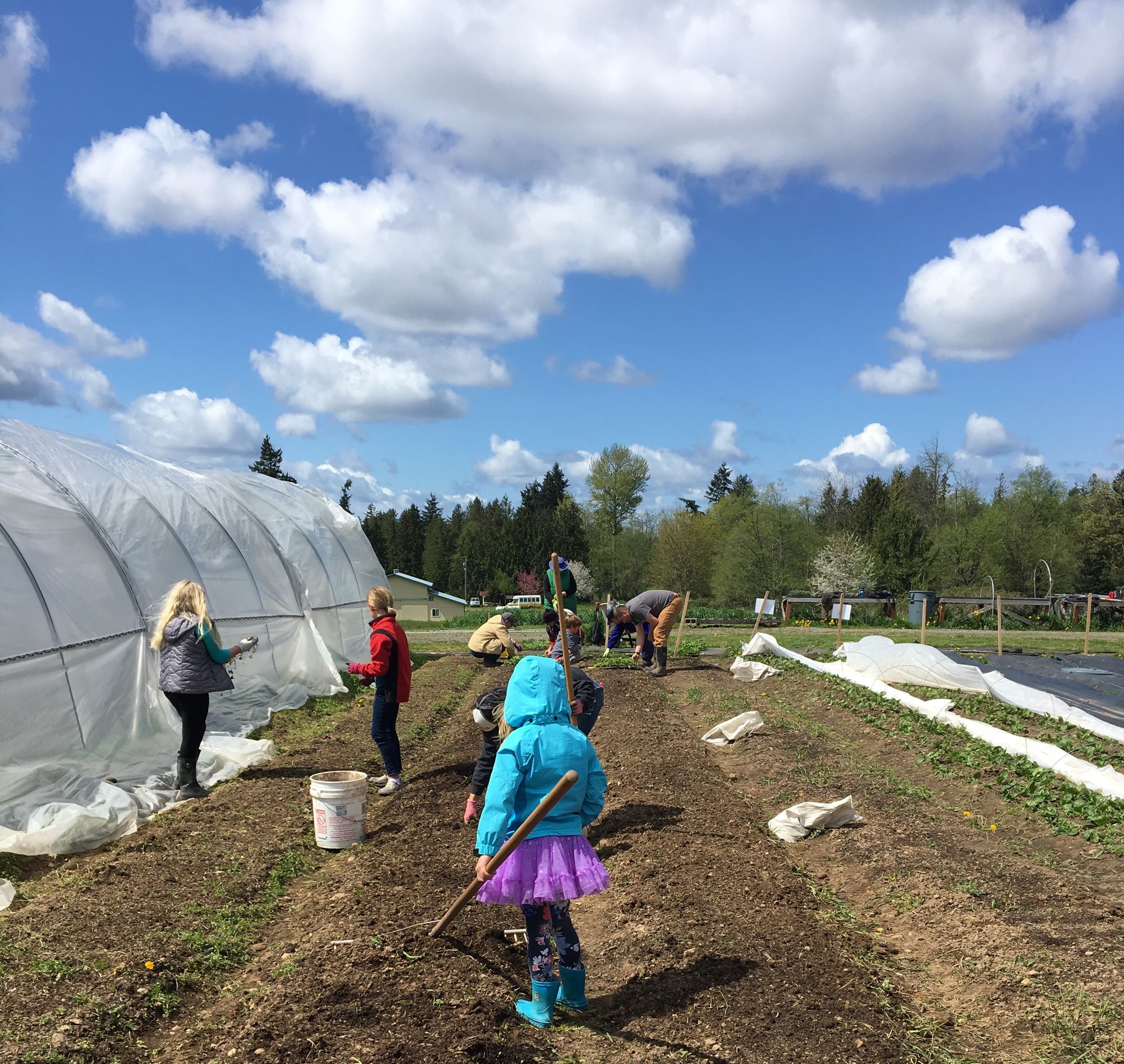 Farming in Tutus Farming in Tutus