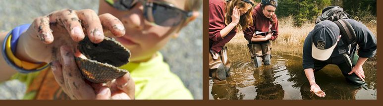 citizen-science-brown-header_h