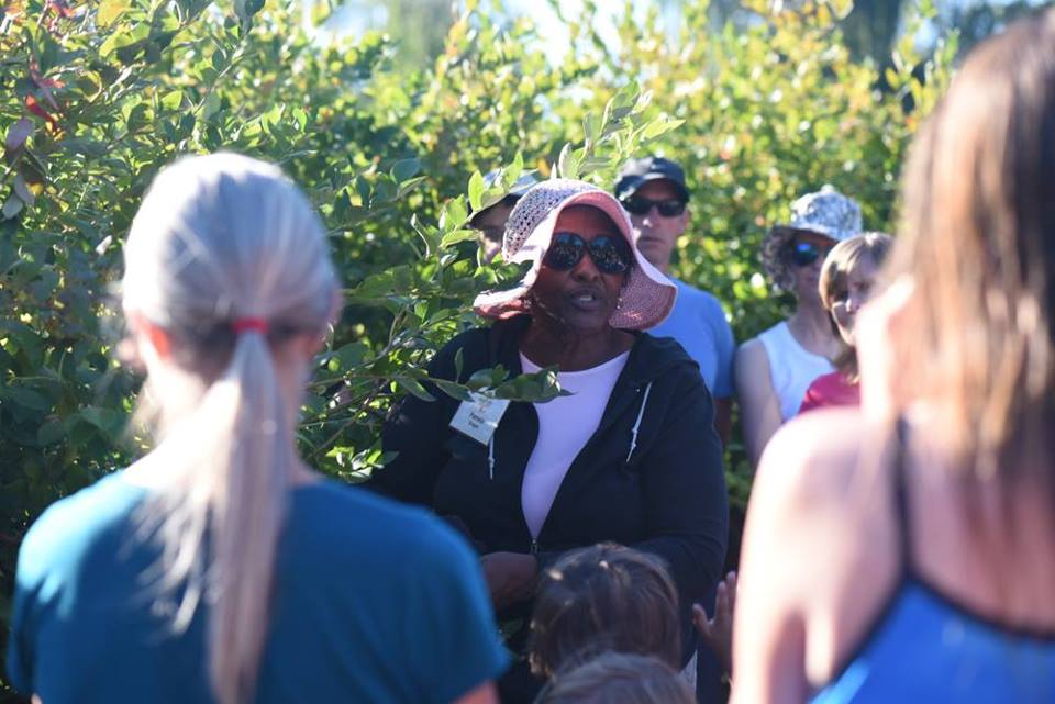 Pamela Draper Blueberry Park