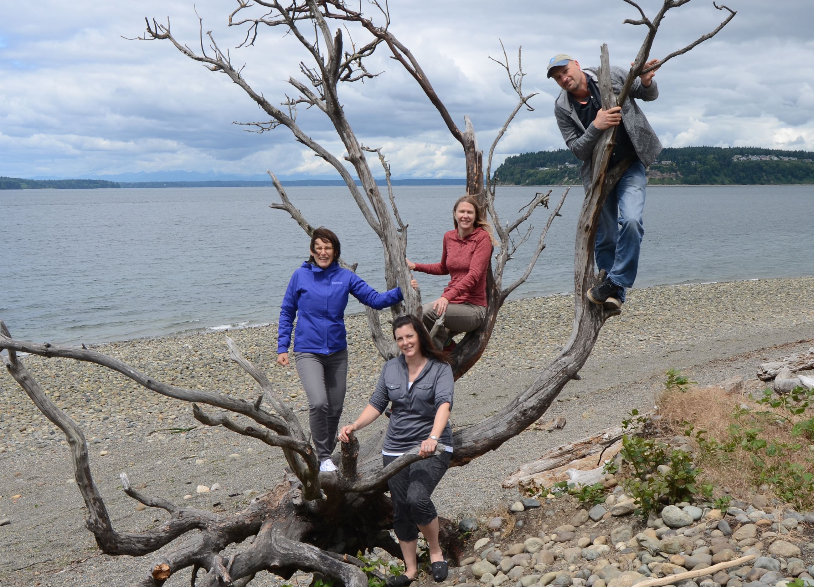 Pierce County Educators 2