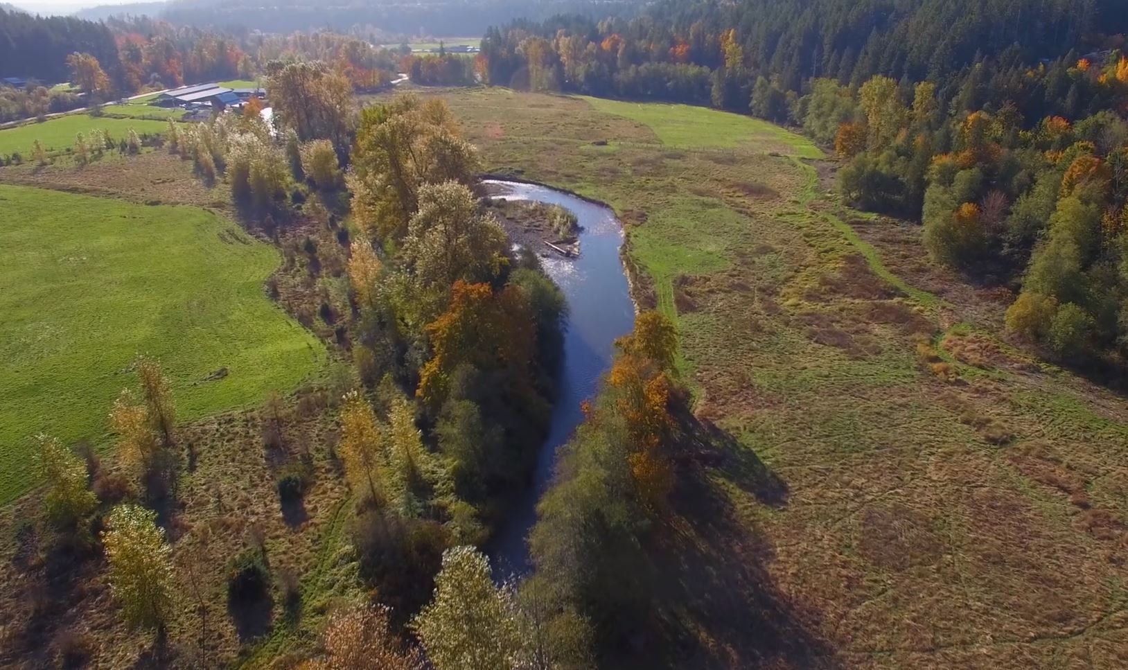 Cover Option 1 Cover Option 1