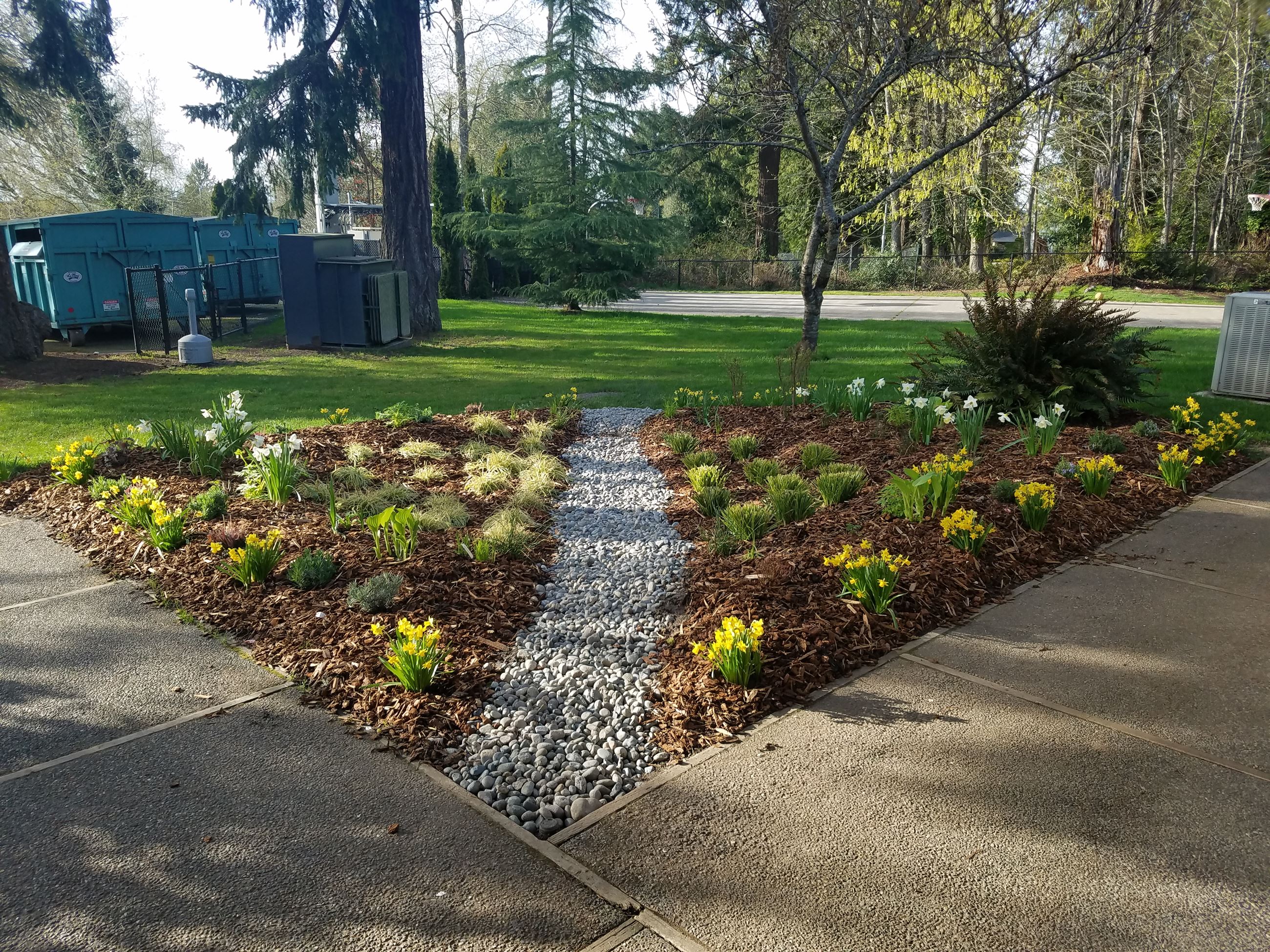 Raingarden Picture