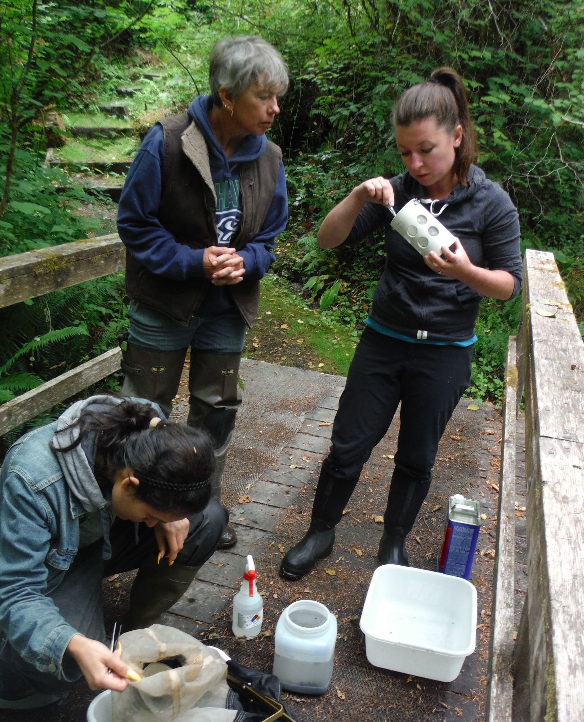 Macro sampling Macro sampling