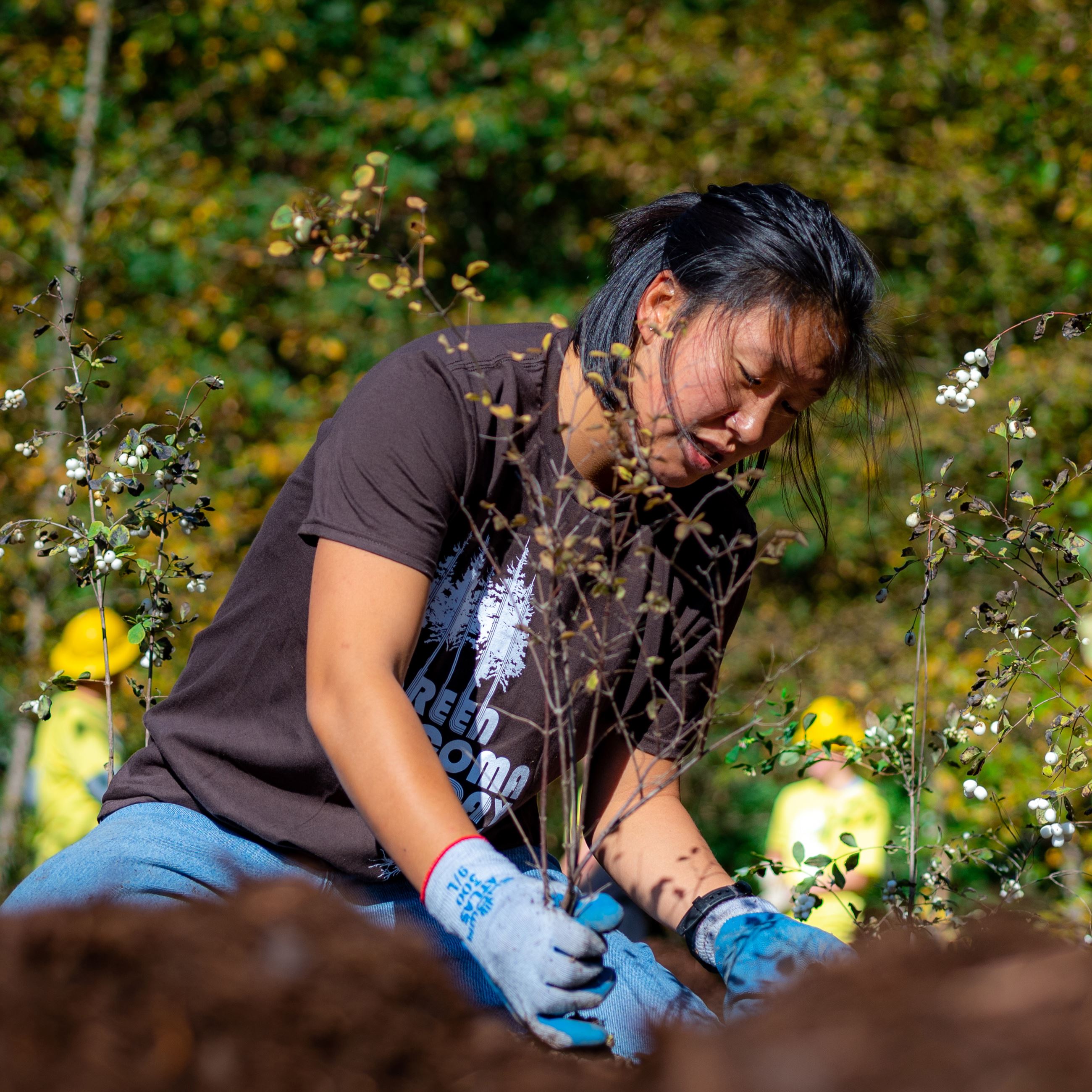 Back Cover Back Cover