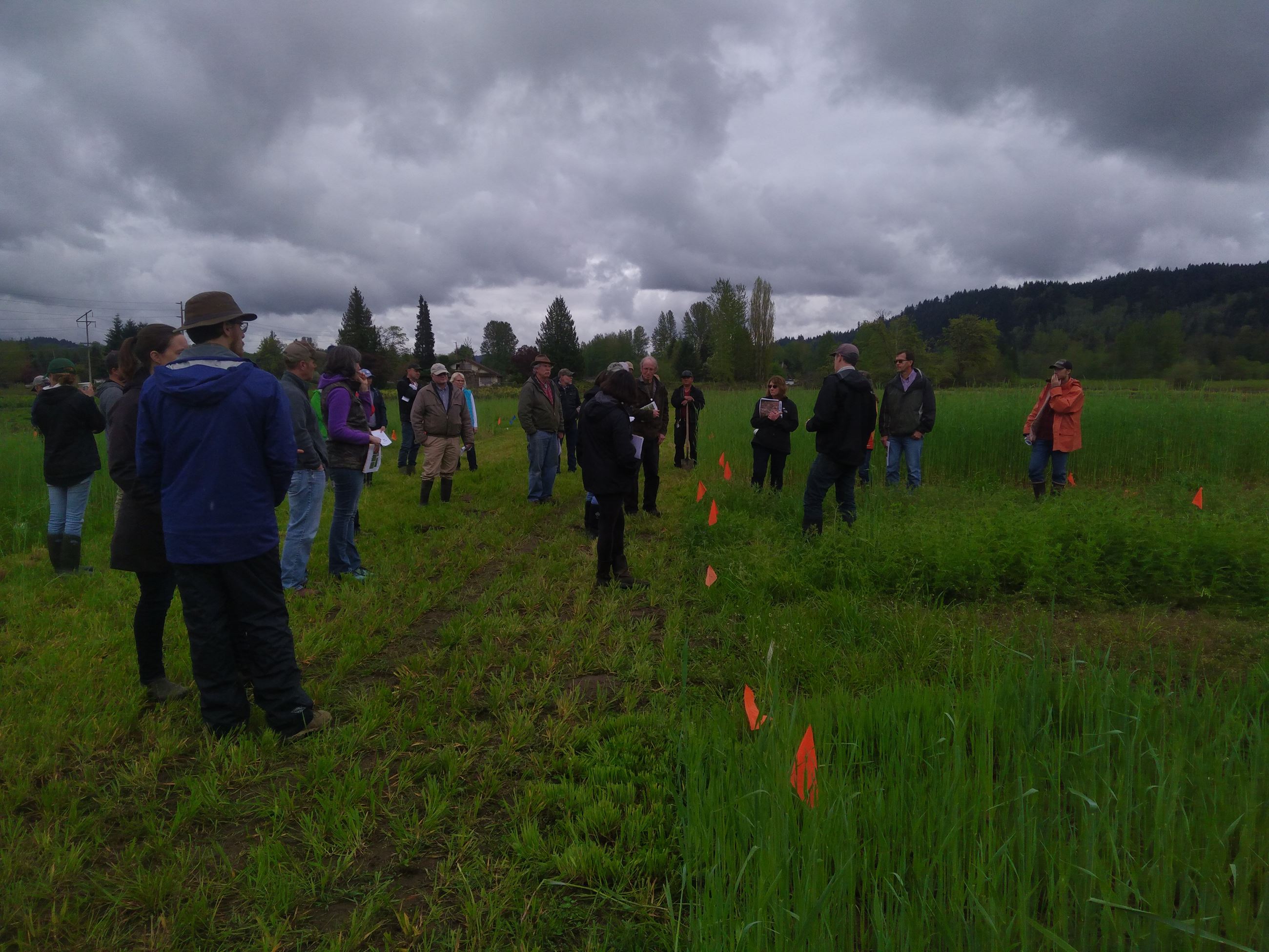 Four Elements field day photo