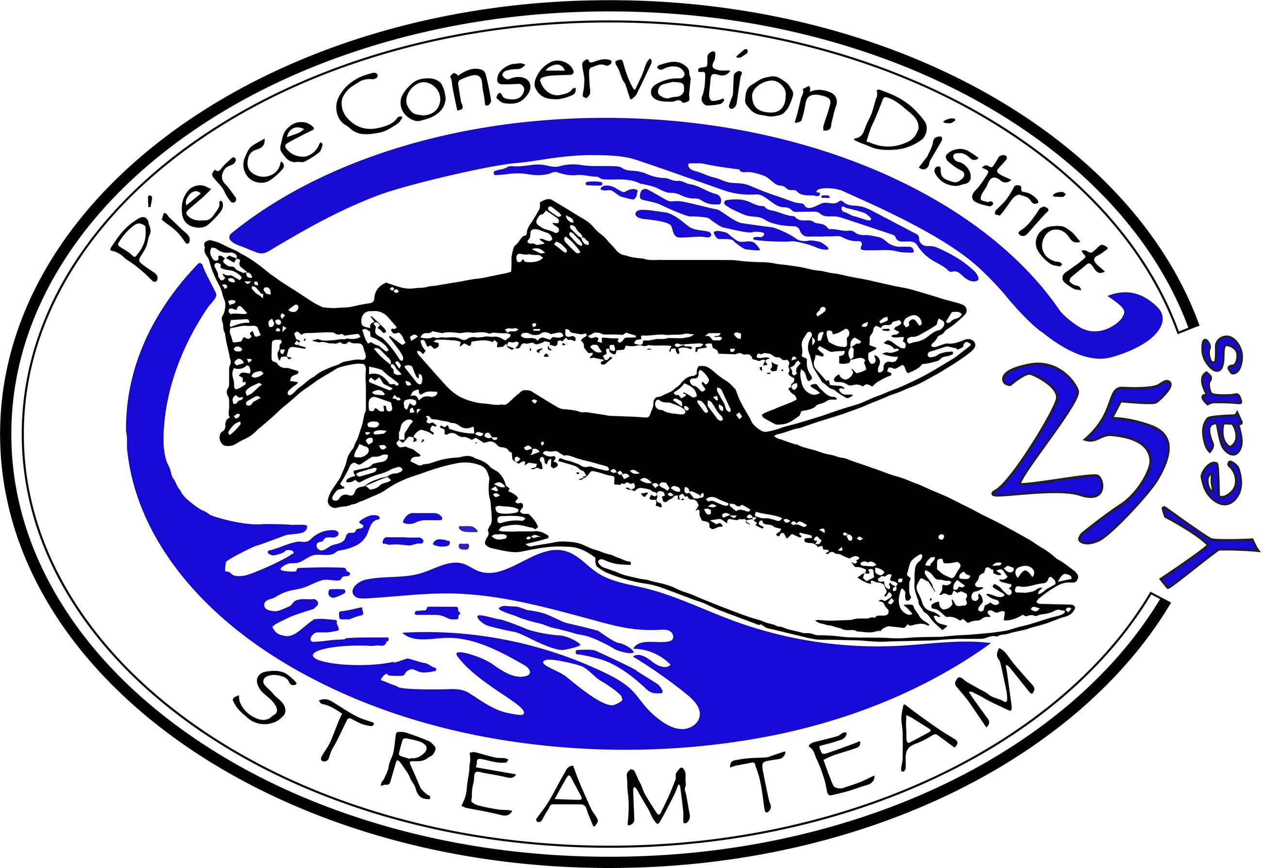 ST Logo 25 Years ST Logo 25 Years