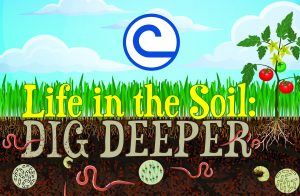 Soil Poster Contest icon