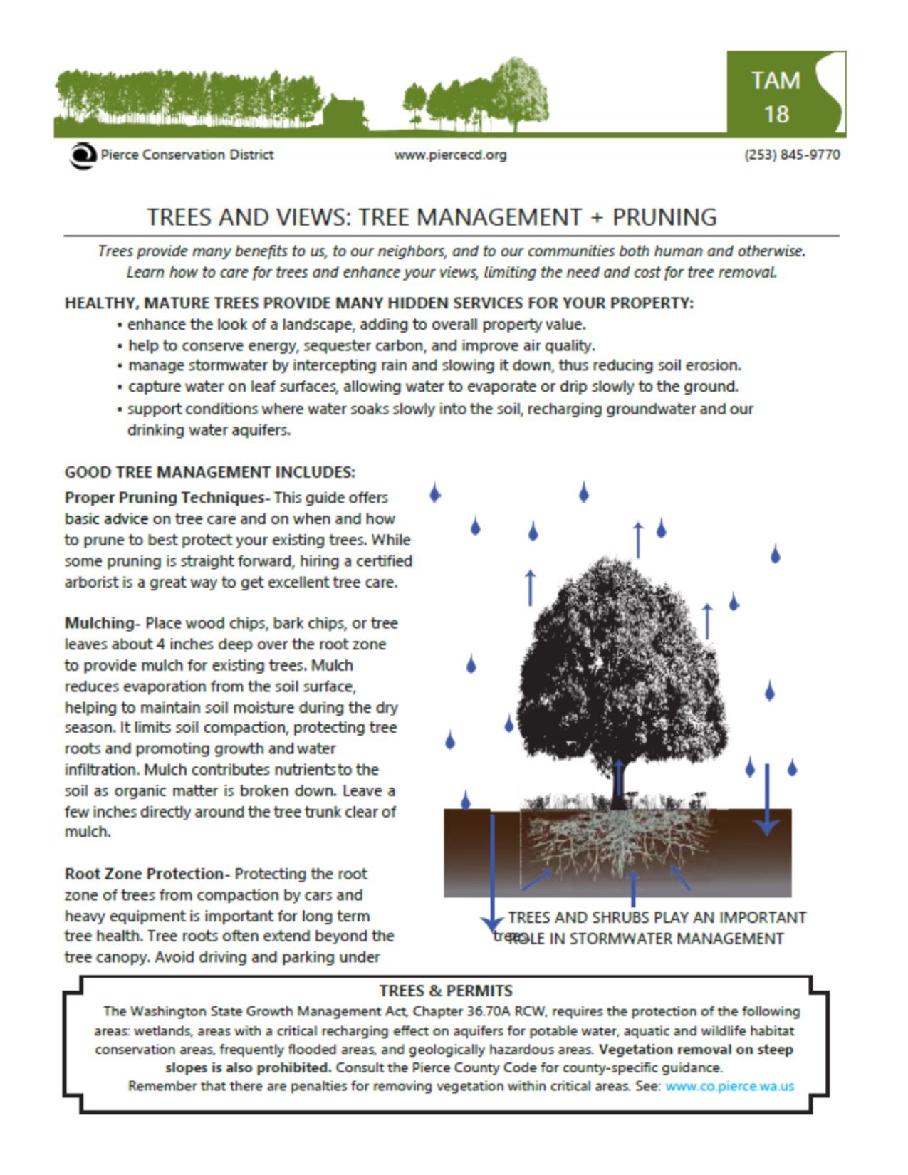 Trees and Views_Preview