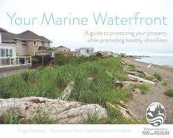 Your Marine Waterfront_Image