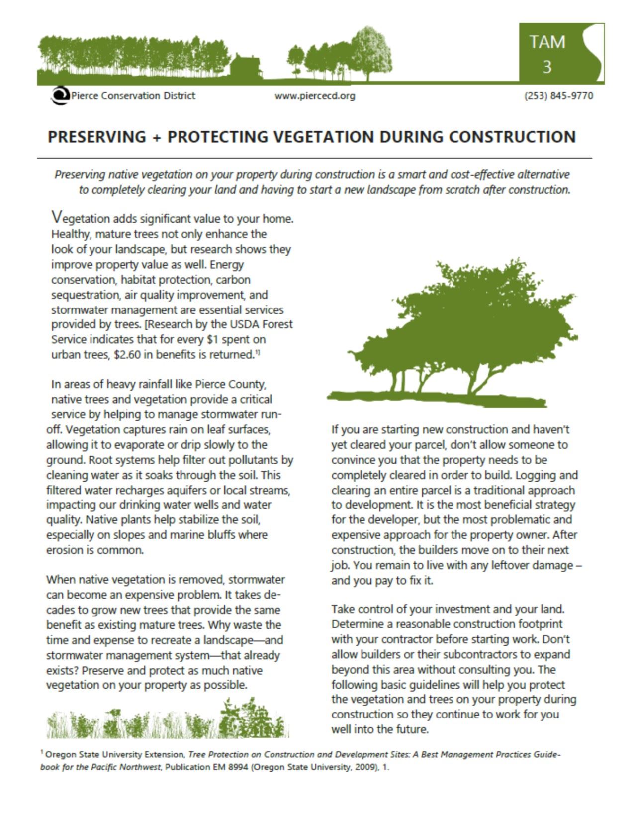 Protecting trees and veg during construction