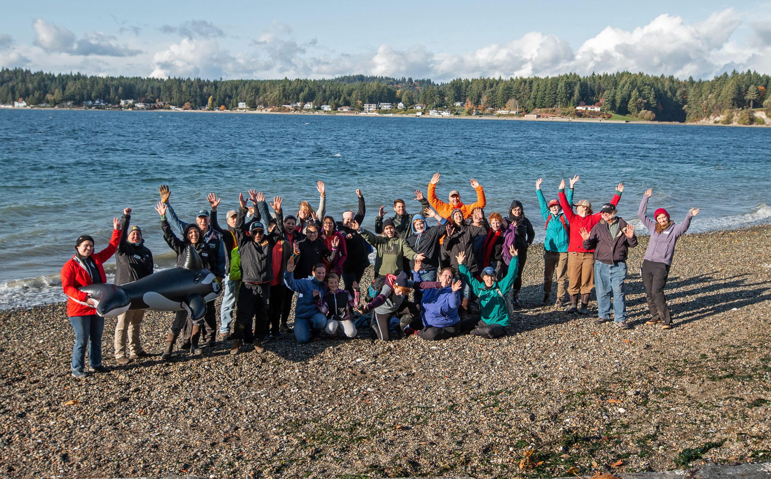 Orca Recovery Day - Back Cover Orca Recovery Day - Back Cover