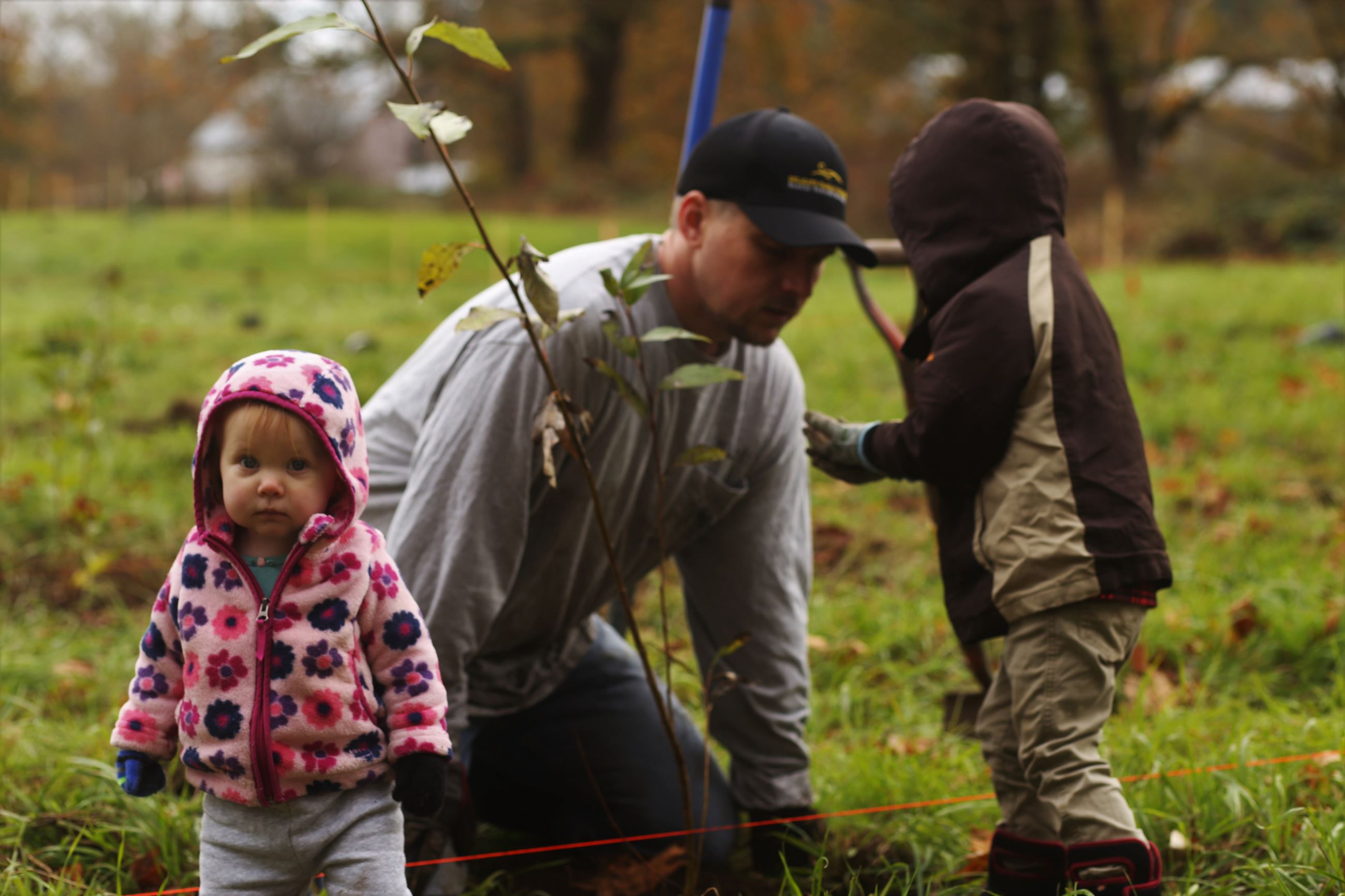 South Prairie Creek Preserve 2