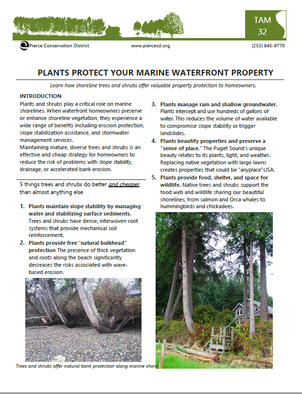 Preview_plans protect shorelines