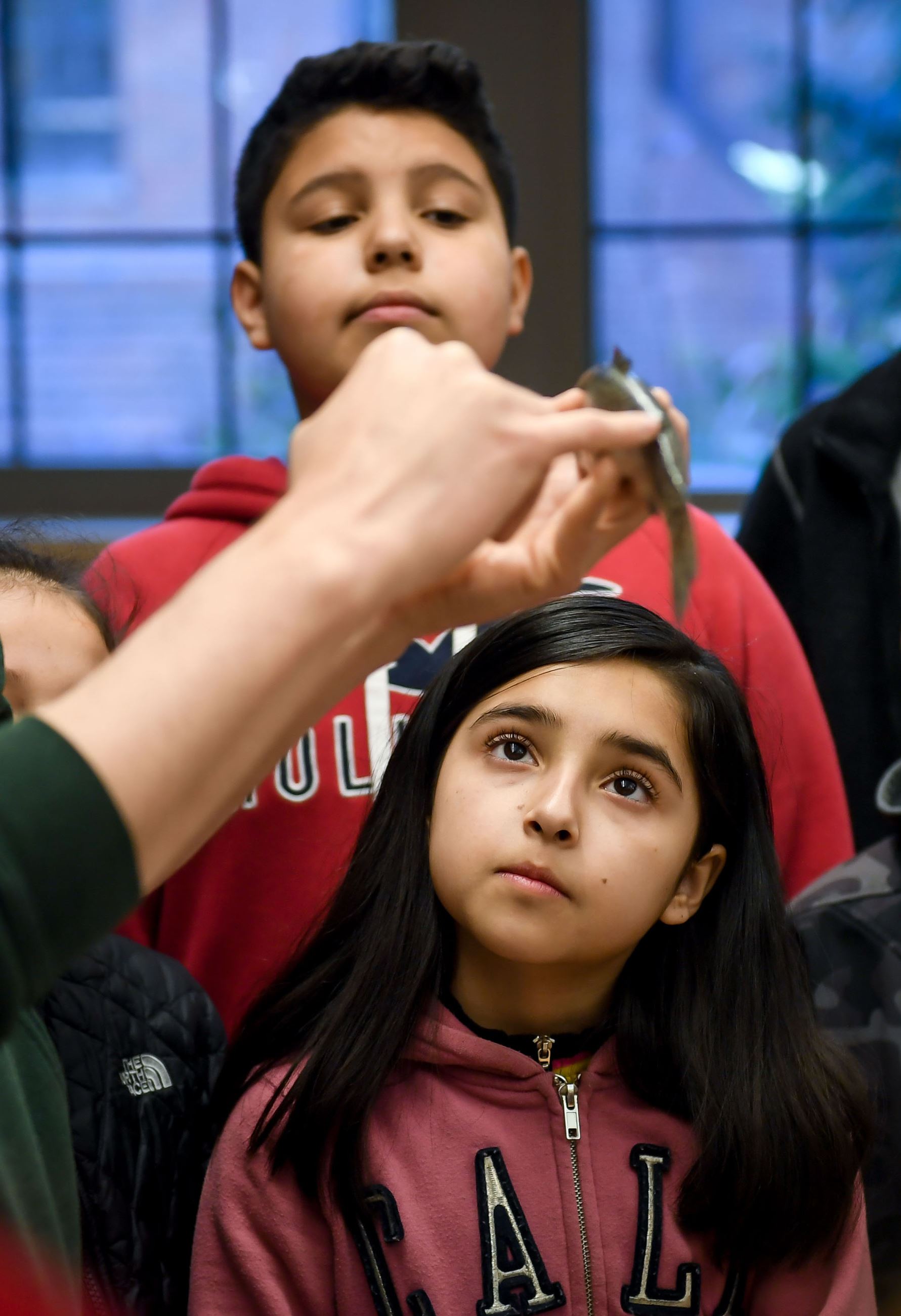 pg 8 Photo pg 8 Photo