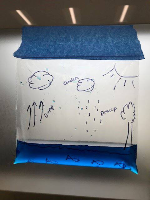 Water Cycle in a Bag picture Water Cycle in a Bag picture