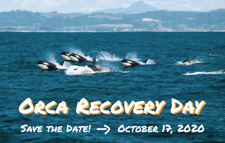 Save The Date pg 1 Save The Date pg 1