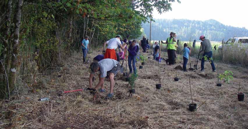 Fall Plantings Fall Plantings