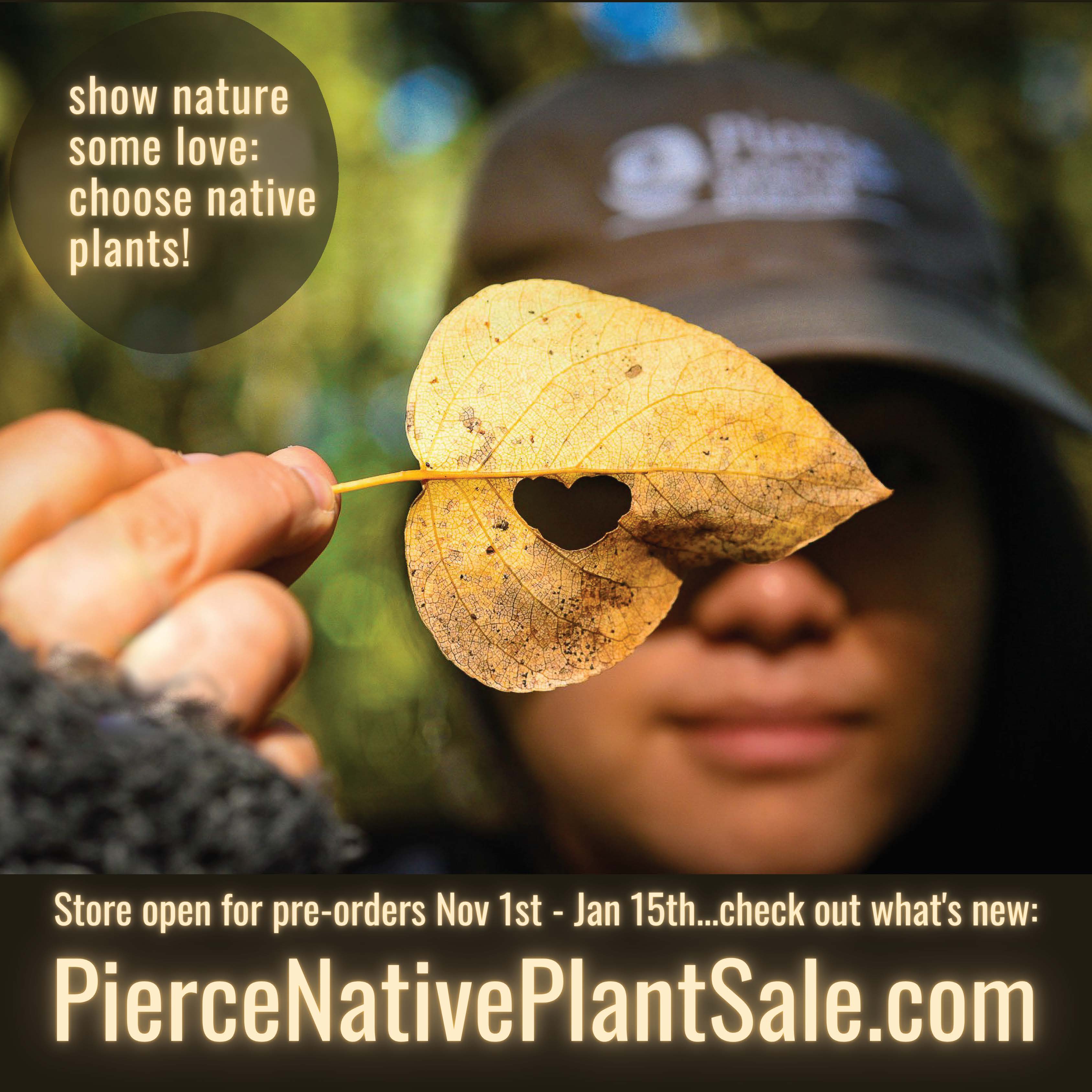 Tahoma View NPS Graphic