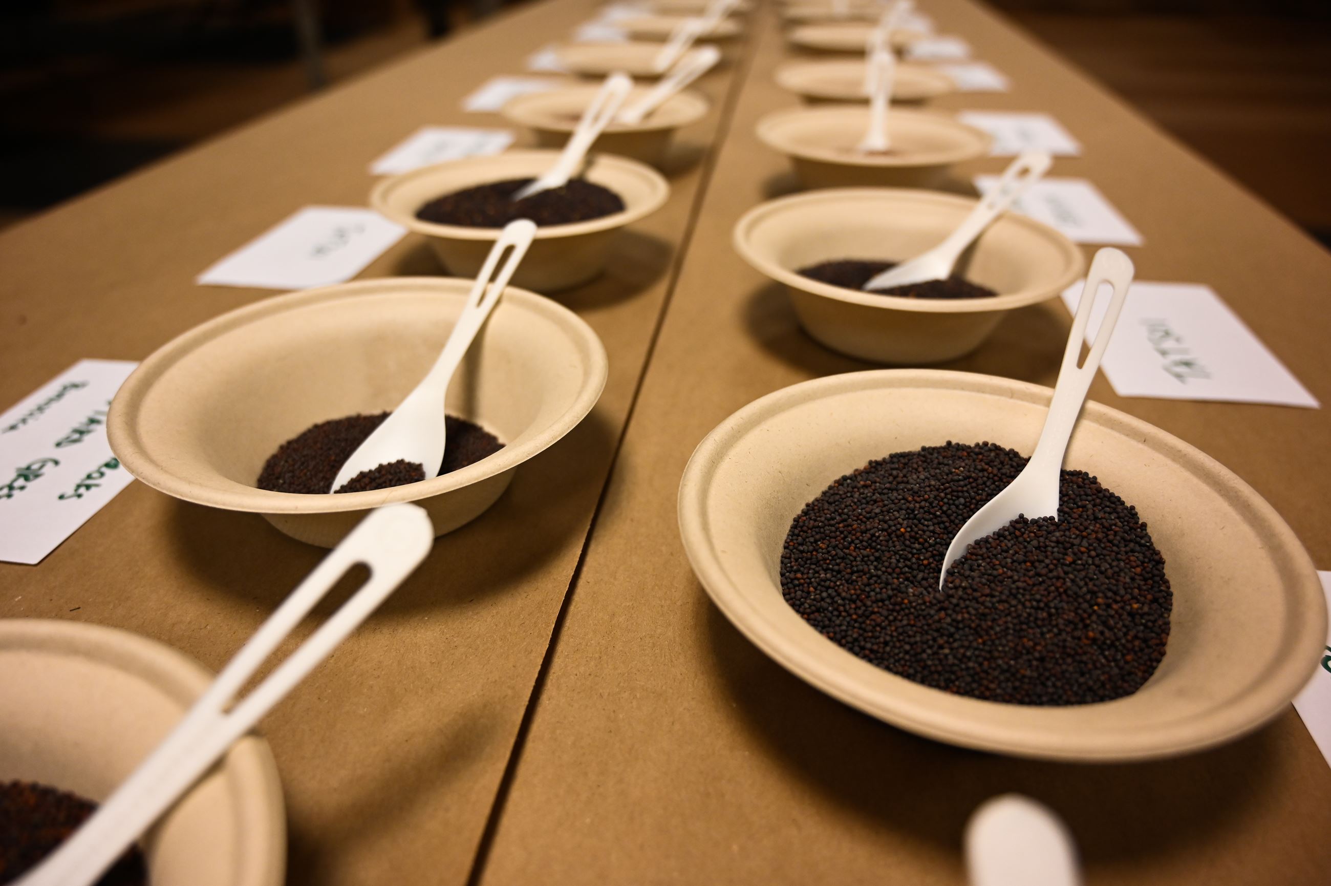 Seed savers picture Seed savers picture