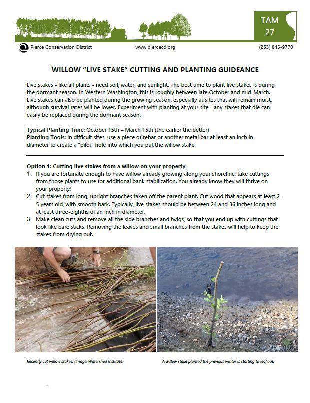Willow "Live Stake" Cutting and Planting Technical Assistance Memo preview