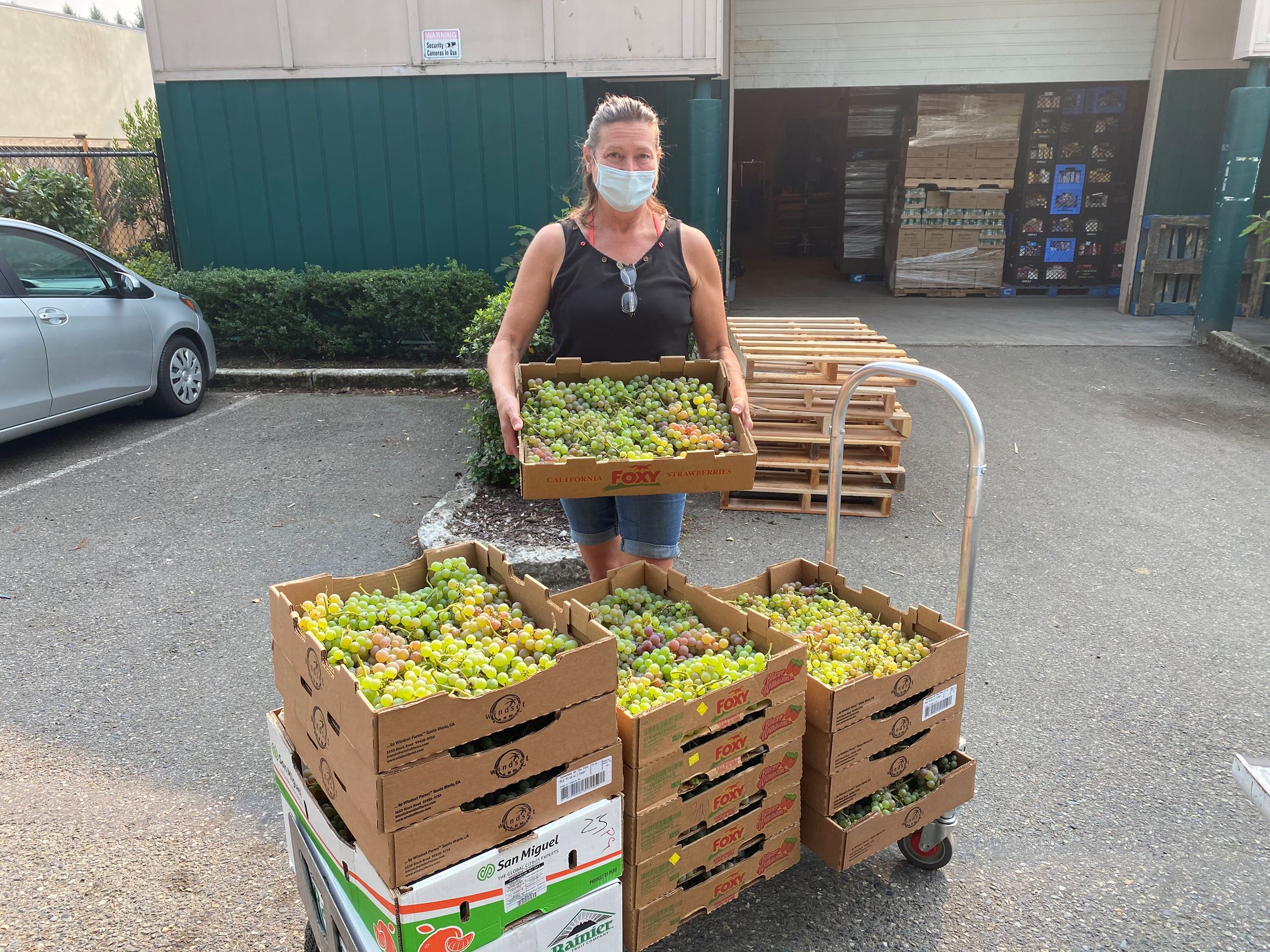 Maureen Siegel Maureen Siegel