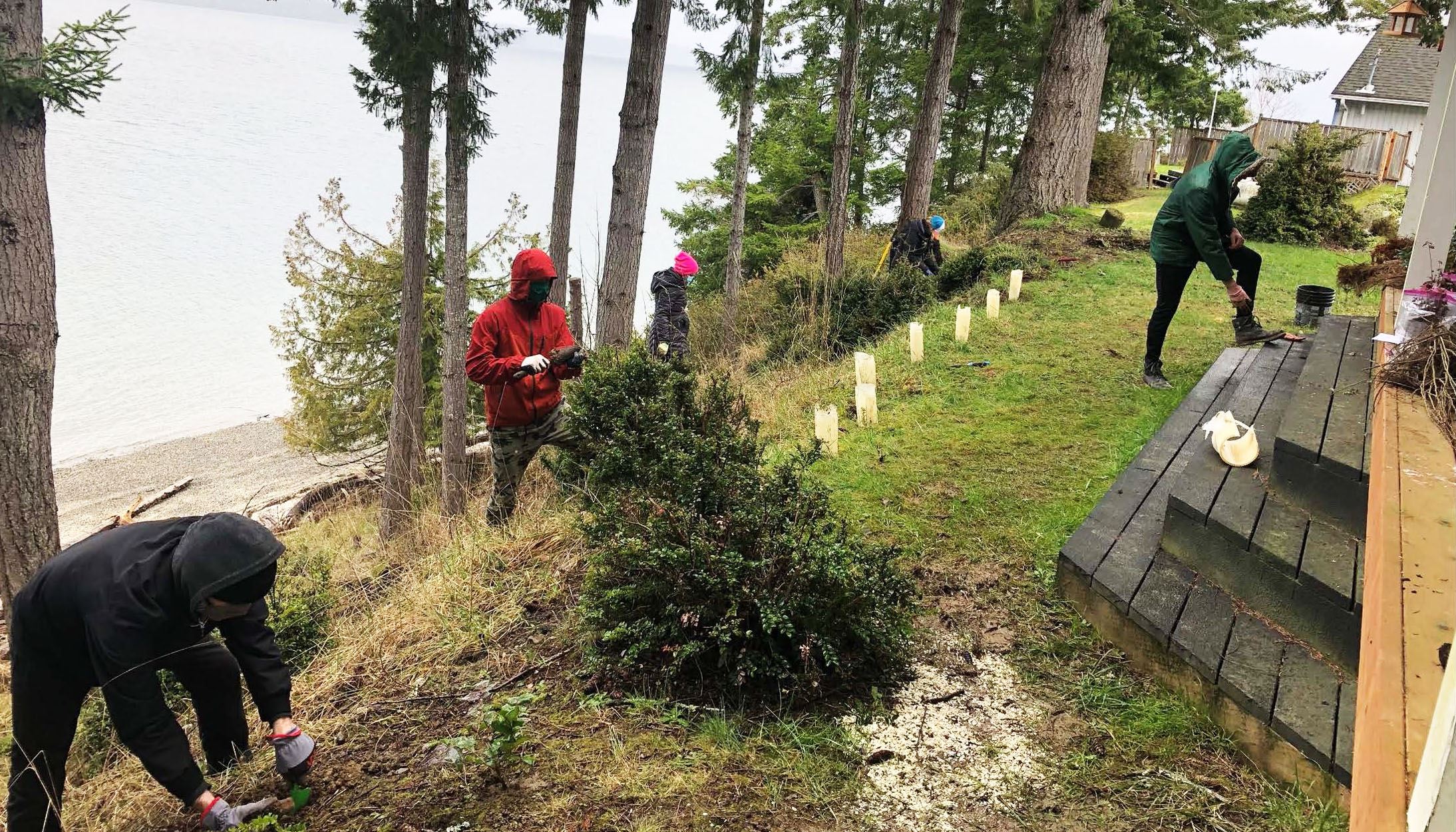 ShoreFriendlyMiniGrant_Planting1