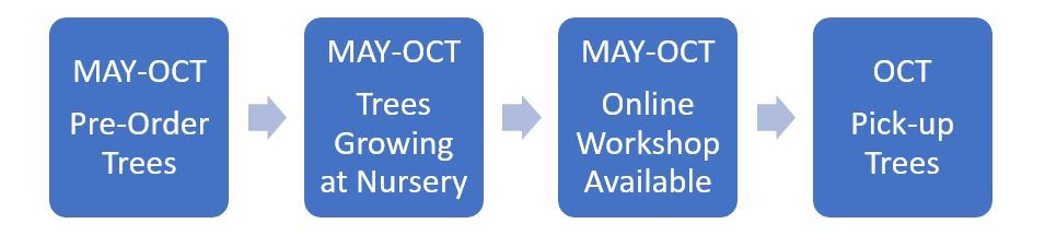 Tree Sale timeline Tree Sale timeline