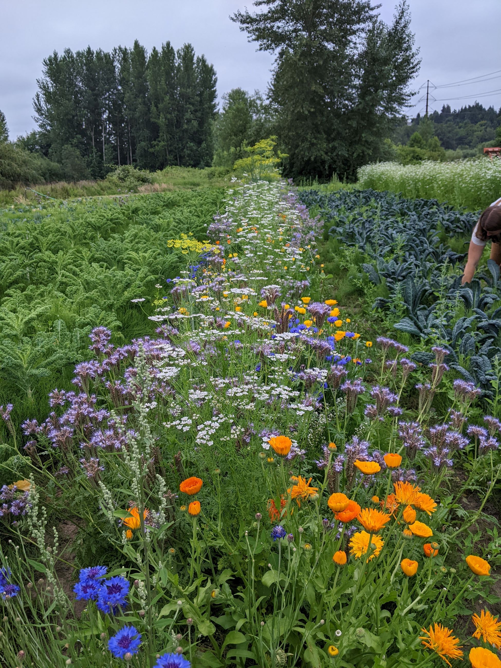 PXL_20230707_163858552