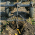 Market Garden Tools
