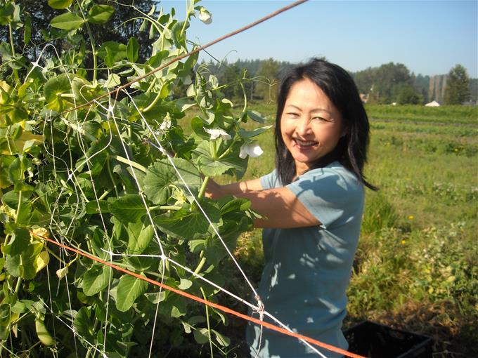 Arlene picking peas Arlene picking peas