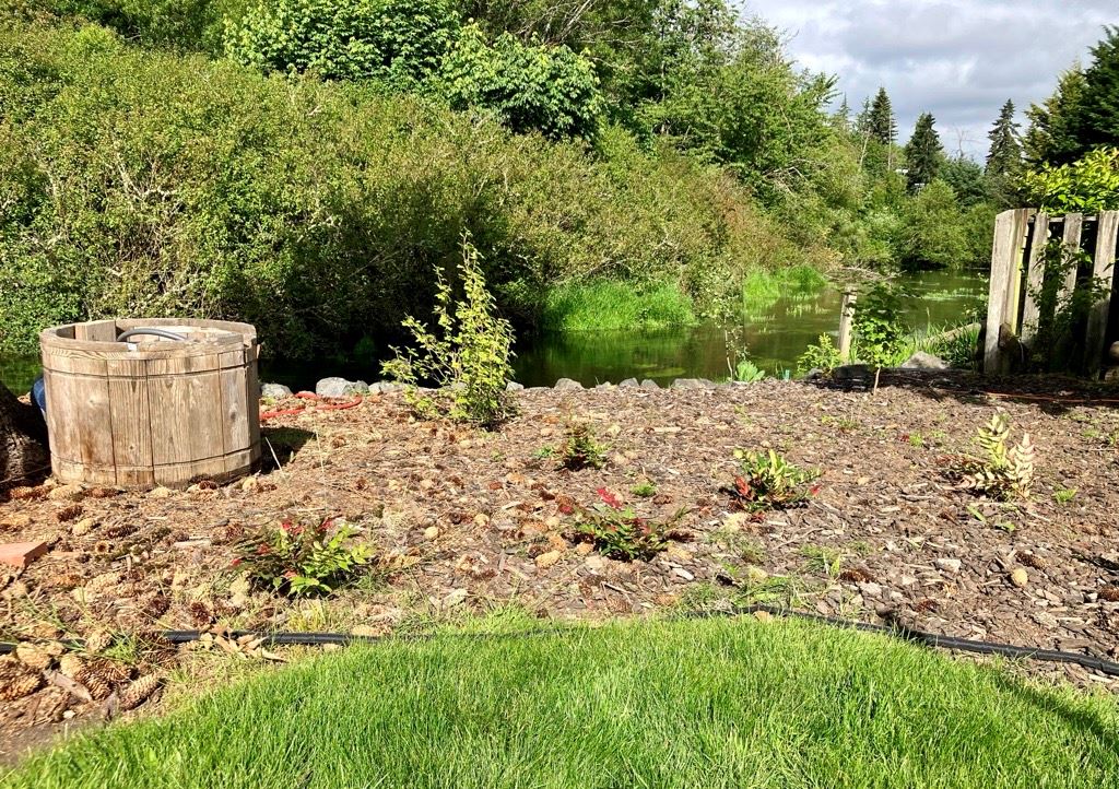 Private Creek Side Slope with New Plants