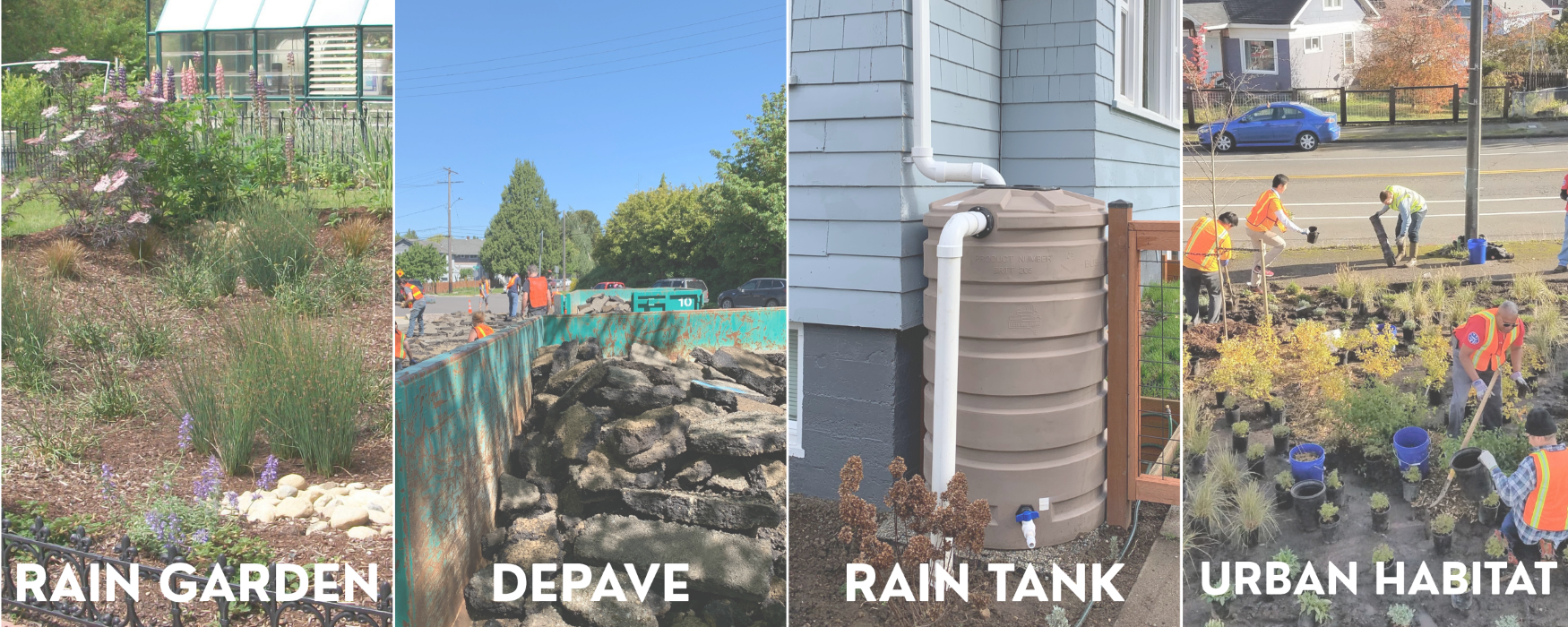 Four stormwater projects including rain garden, depave, rain tank, and urban habitat