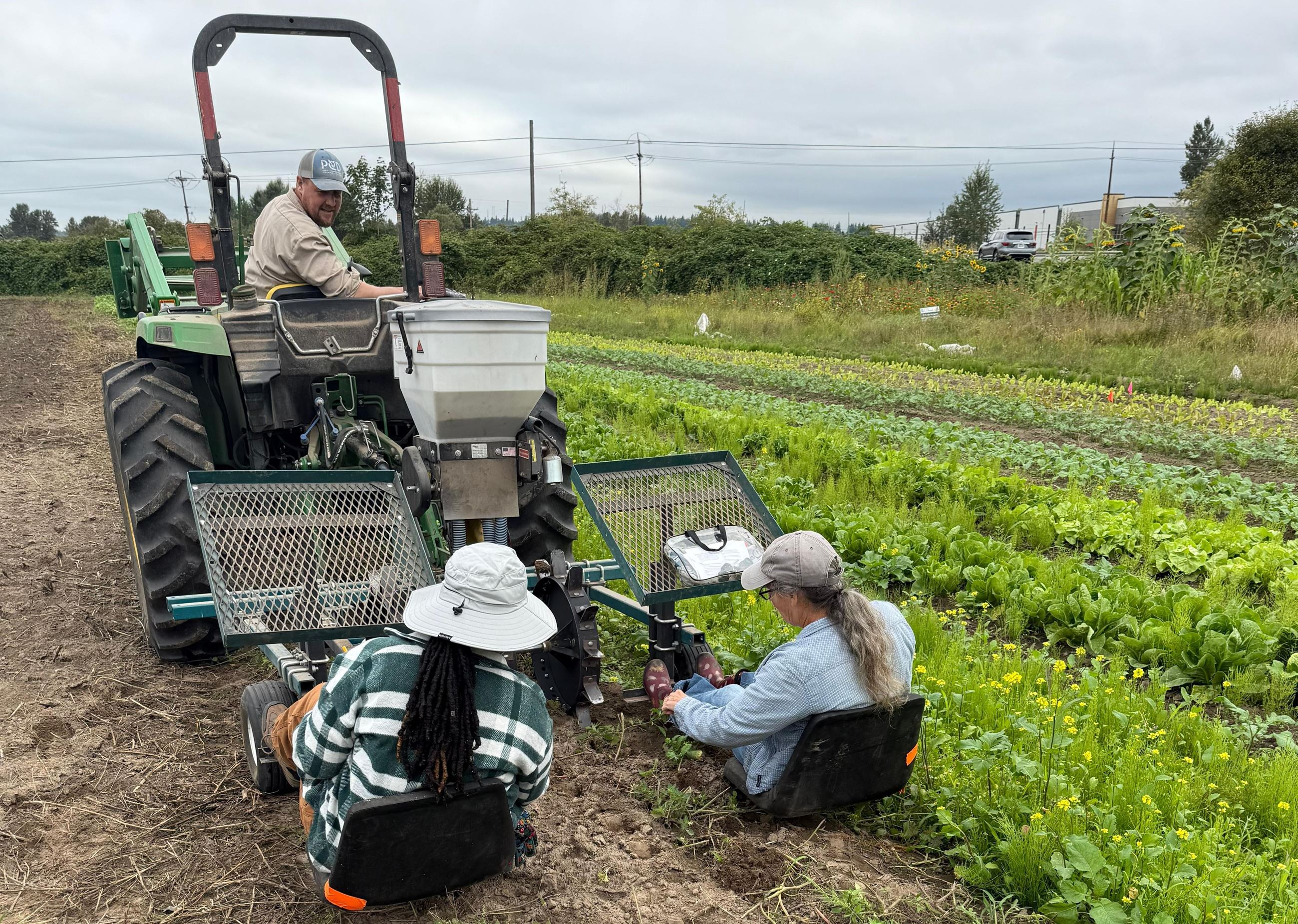 wild hare ff tractor crop