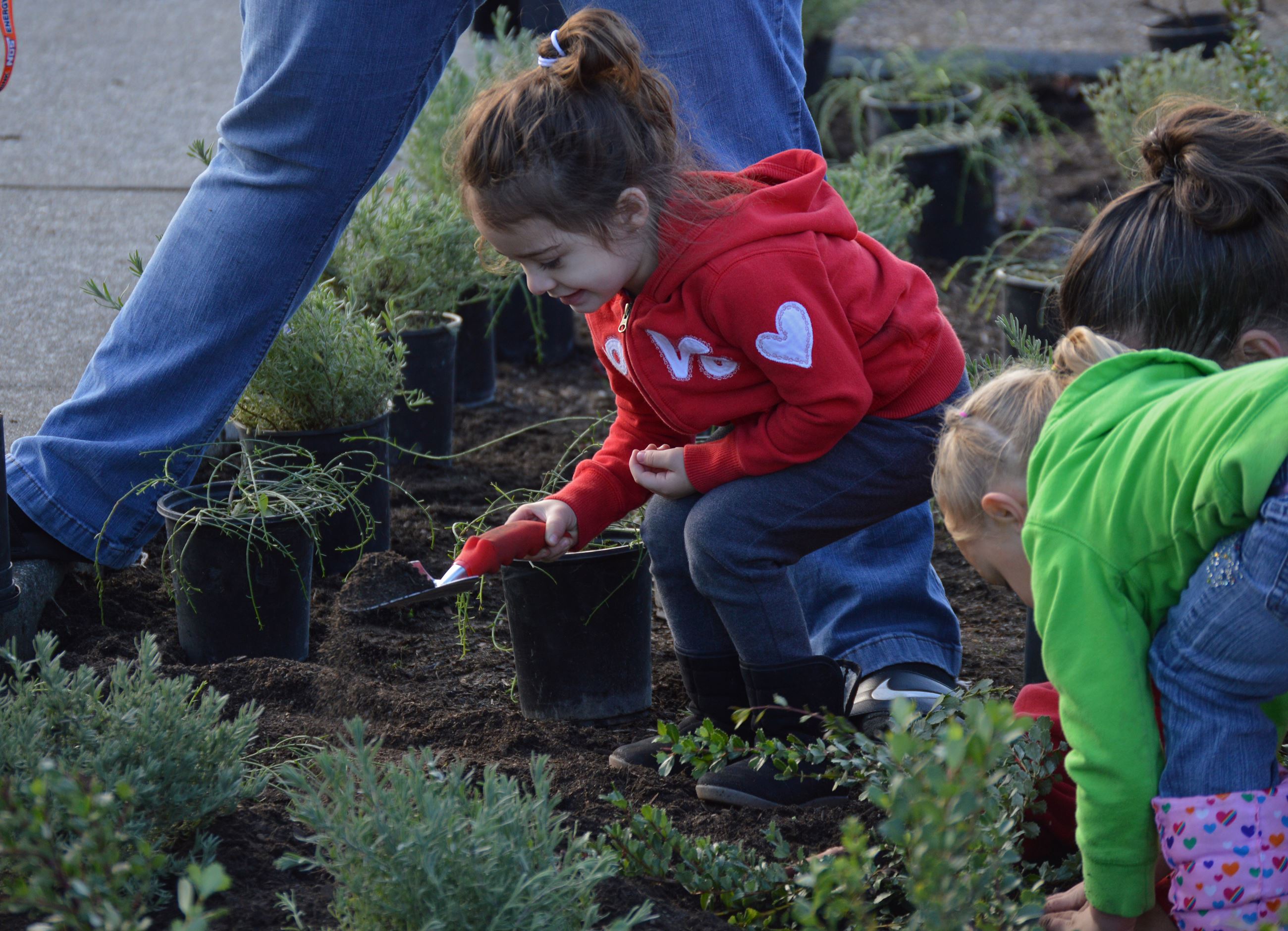 McKinleyDepave7 McKinleyDepave7