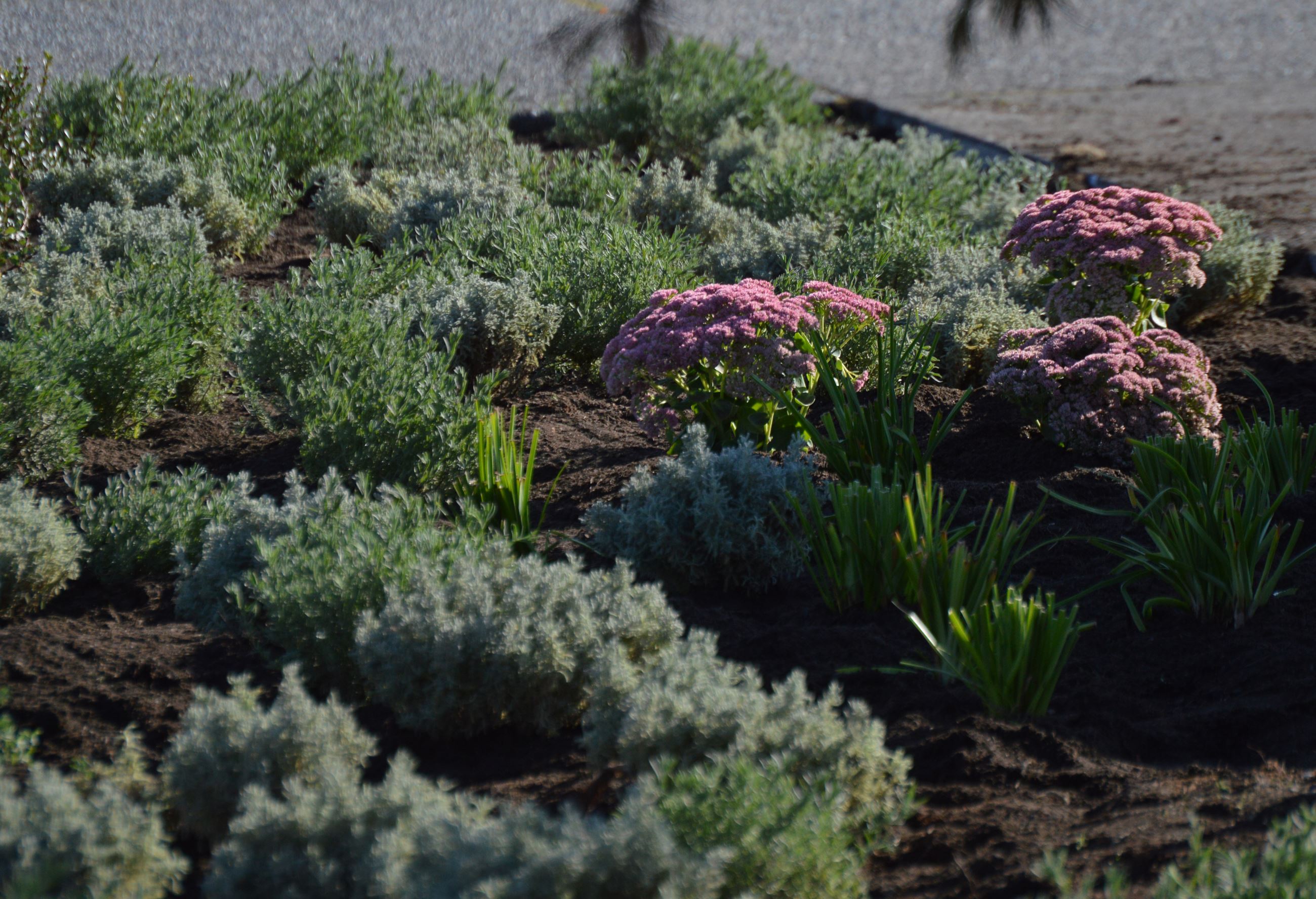 McKinleyDepave2 McKinleyDepave2