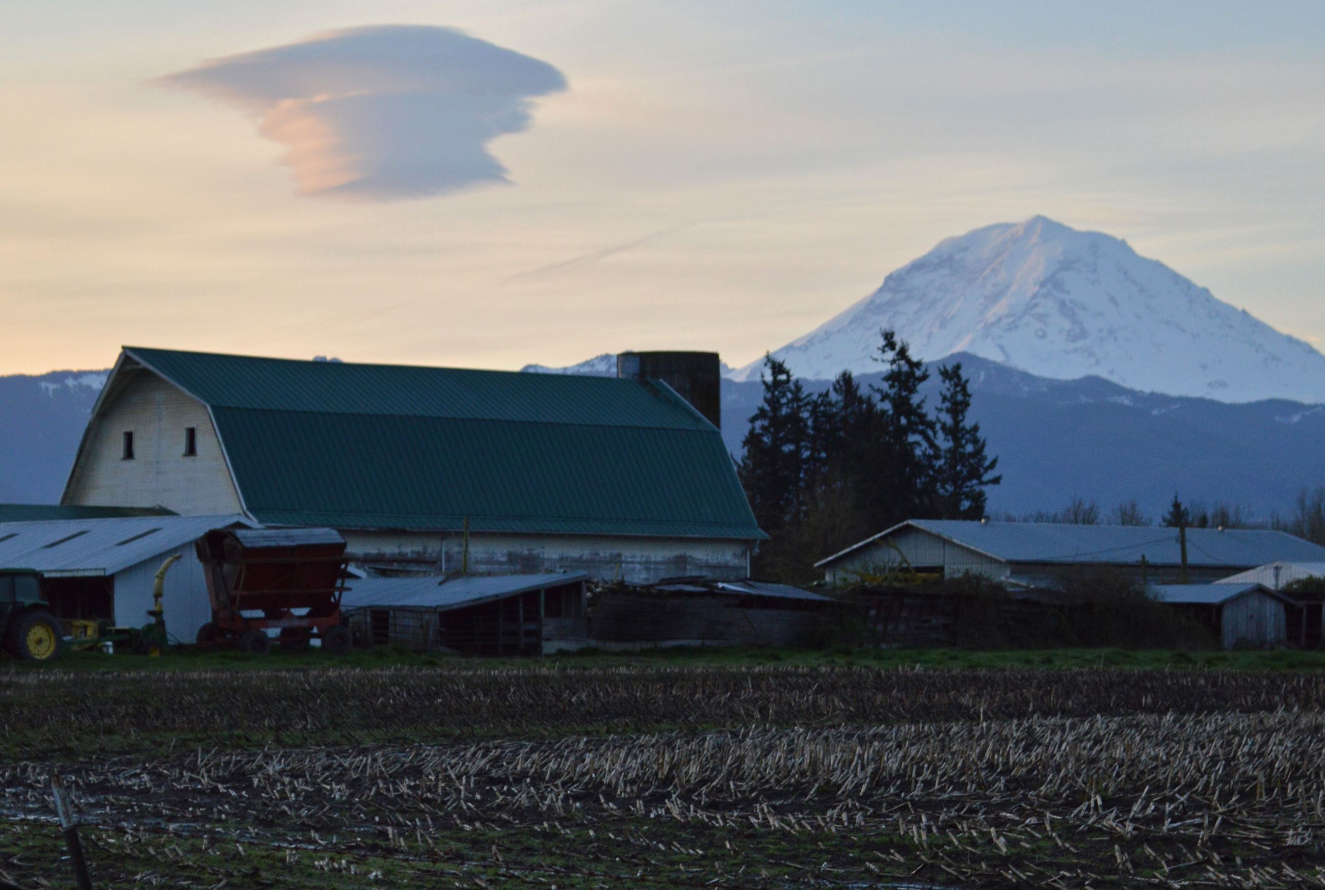RainierFarm