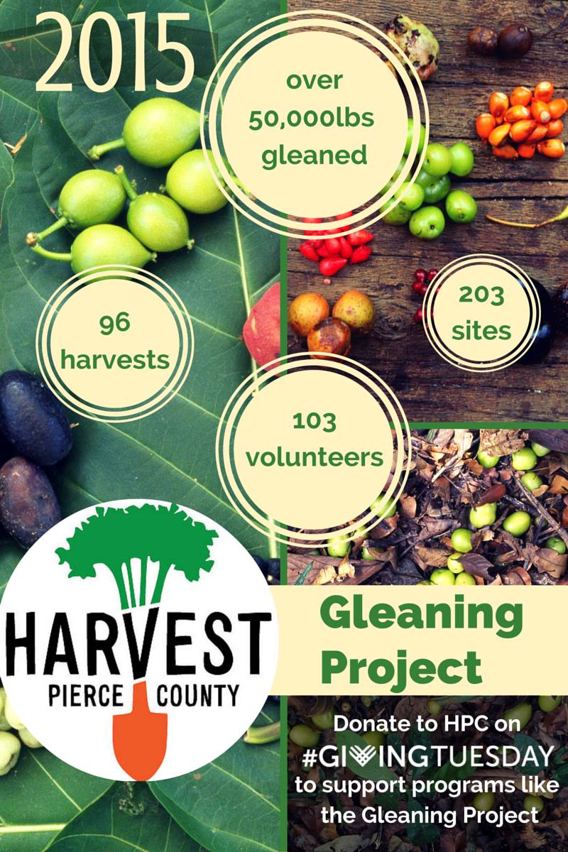 Gleaning Report