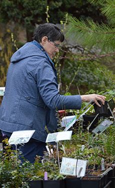 Plant Sale Sidebar (web) Plant Sale Sidebar (web)