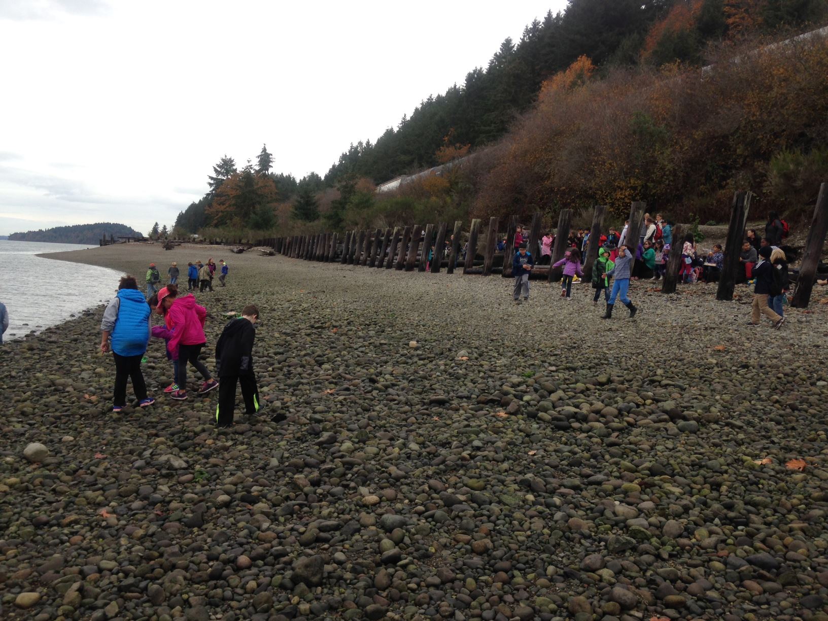 Chloe Clark a Chloe Clark a