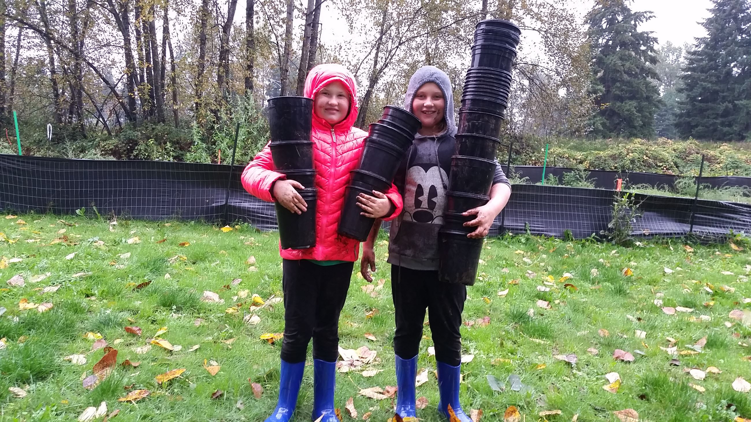 Sumner Planting b Sumner Planting b