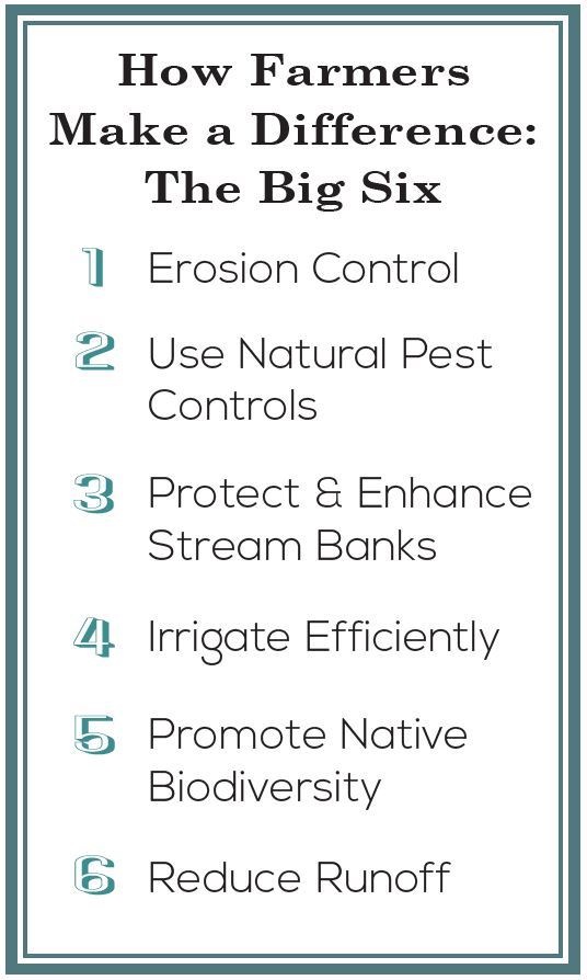 Salmon Safe2 Salmon Safe2