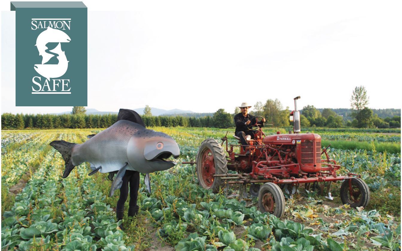 Salmon Safe1 Salmon Safe1