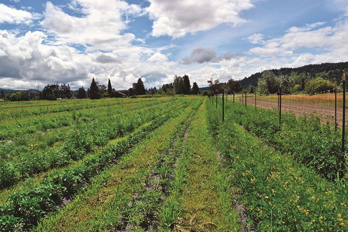 farm_Pic for Farm Blurb(web) farm_Pic for Farm Blurb(web)