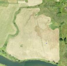 Crop field before CREP