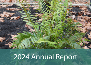 graphic that reads \񓠈 Annual Report\"