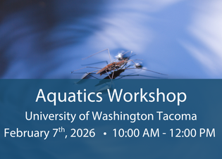 Aquatics workshop button with a water background