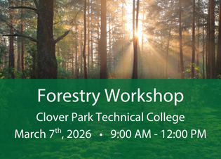 Forestry workshop button with a tree background